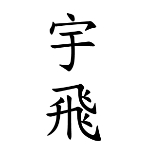 宇飛ちゃんの名前の画数の意味 読み方 無料 赤ちゃん名づけ 子供の名付け実績no 1 400万人の妊婦さんが利用