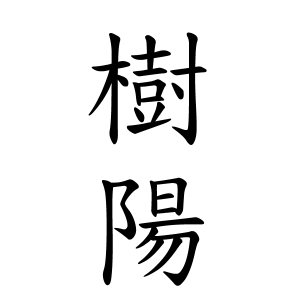 樹陽ちゃんの名前の画数の意味 読み方 無料 赤ちゃん名づけ 子供の名付け実績no 1 400万人の妊婦さんが利用