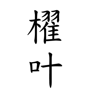 櫂叶ちゃんの名前の画数の意味 無料 赤ちゃん名づけ 子供の名付け実績no 1 400万人の妊婦さんが利用