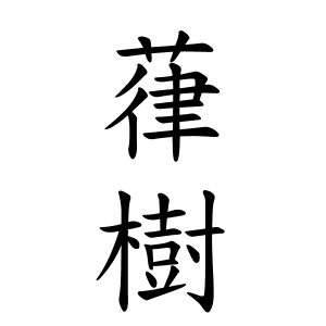 葎樹ちゃんの名前の画数の意味 読み方 無料 赤ちゃん名づけ 子供の名付け実績no 1 400万人の妊婦さんが利用