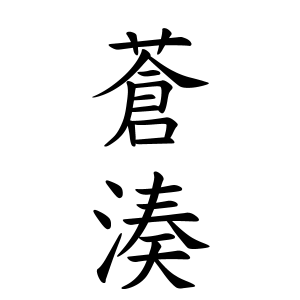 蒼湊ちゃんの名前の画数の意味 読み方 無料 赤ちゃん名づけ 子供の名付け実績no 1 400万人の妊婦さんが利用